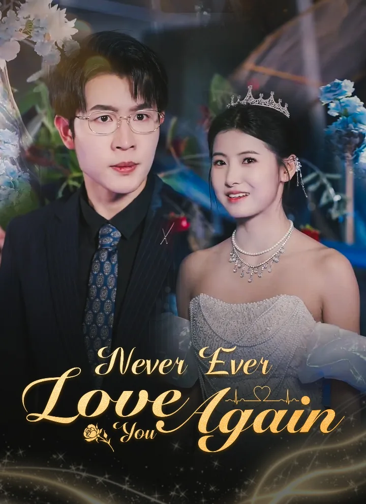 Never Ever Love You Again