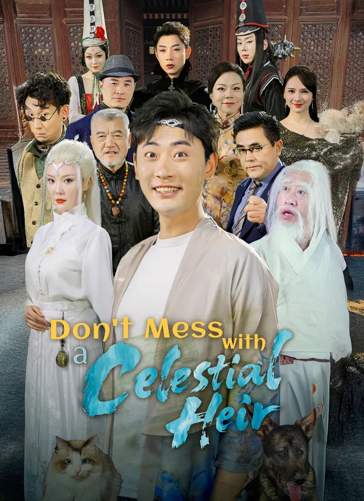 Don't Mess with a Celestial Heir