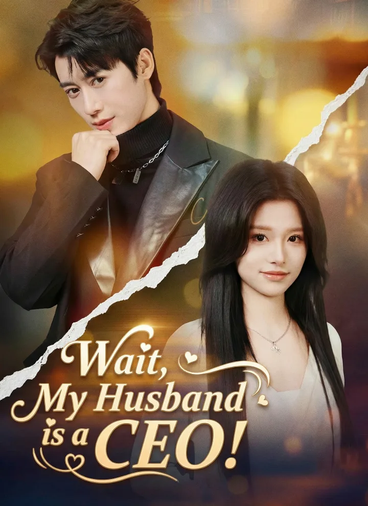 Wait, My Husband is a CEO!