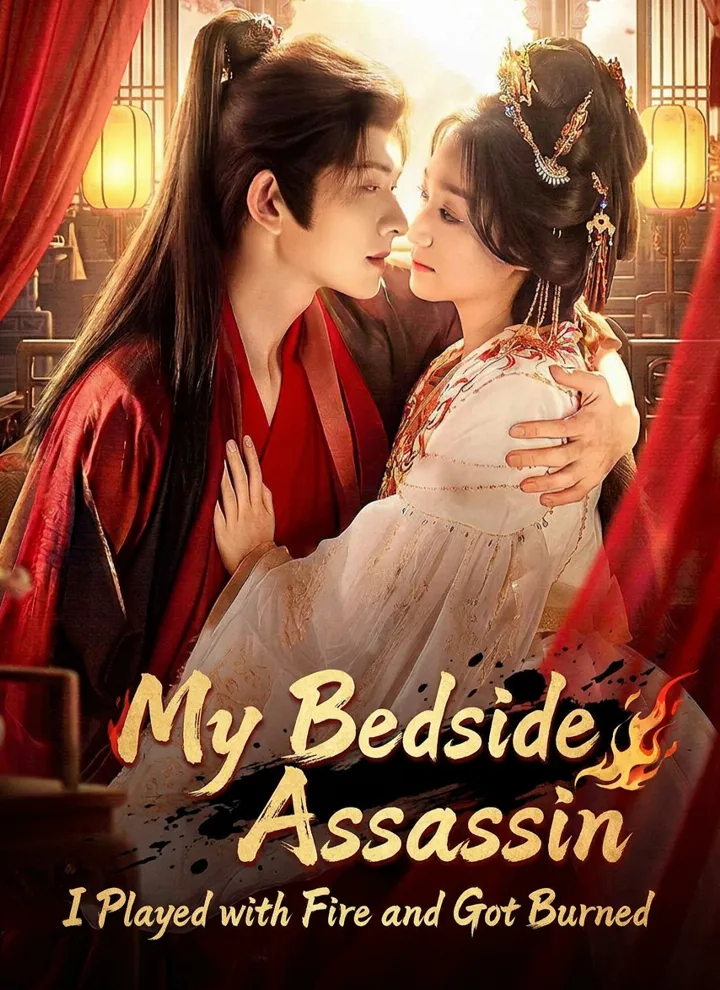 My Bedside Assassin:I Played with Fire and Got Burned